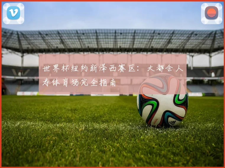 世界杯纽约新泽西赛区：大都会人寿体育场完全指南