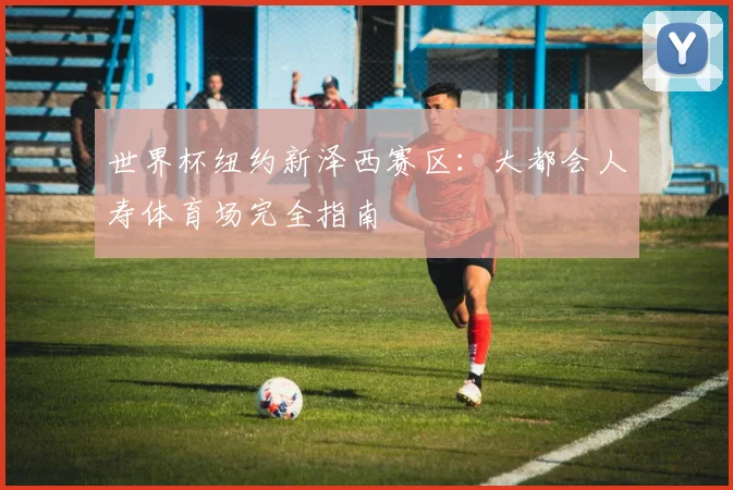 世界杯纽约新泽西赛区：大都会人寿体育场完全指南